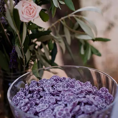 Violette & Berlingot